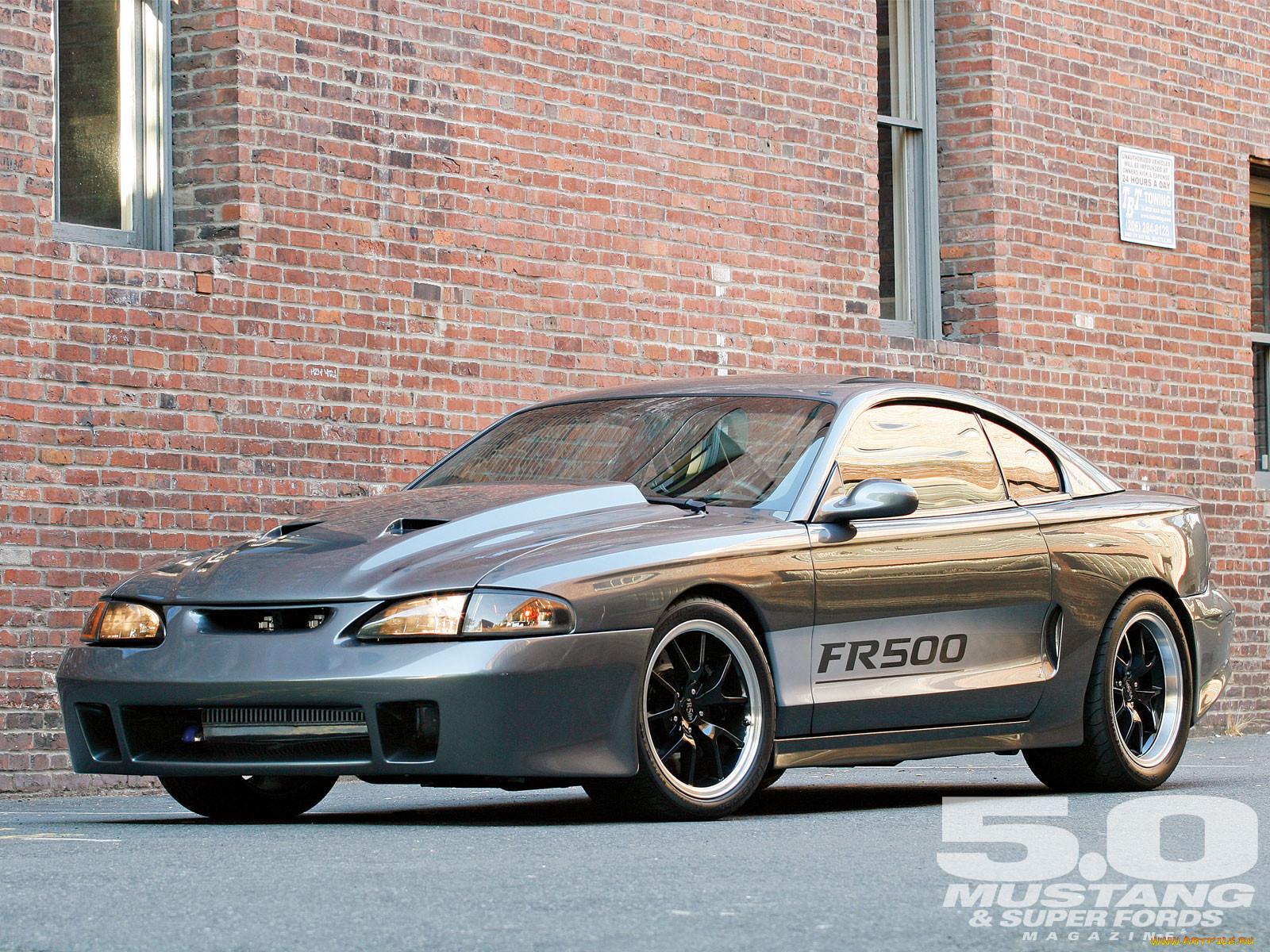 , mustang